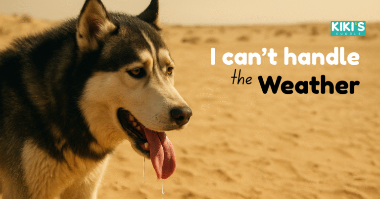 Dog Breeds Suited for Indian Climate