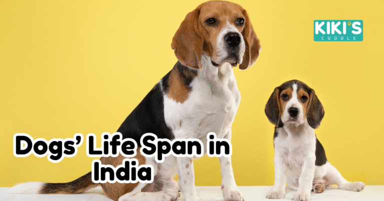 Dog Life Span in India: A Complete Breed-Wise Guide