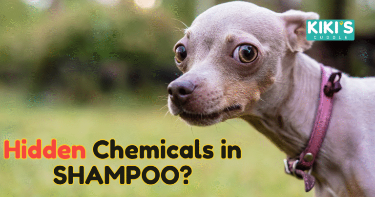 Top 5 Hidden Chemicals in Pet Shampoos You Should Avoid